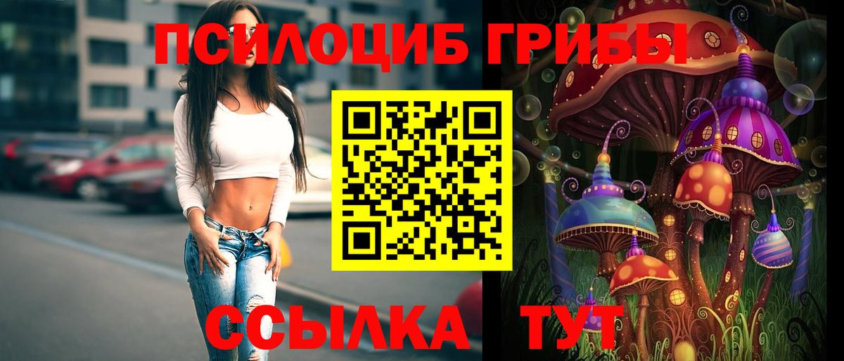 Псилоцибиновые грибы MAGIC MUSHROOMS  цена наркотик  Кемерово  Вход с VPN  Галлюциногенные грибы прущие грибы 