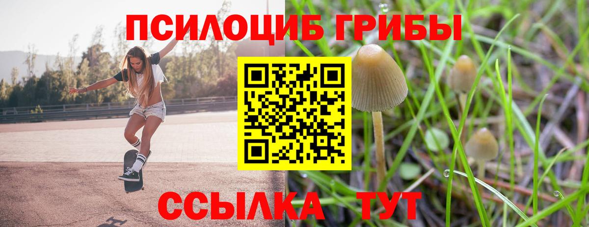 Галлюциногенные грибы Magic Shrooms Кемерово